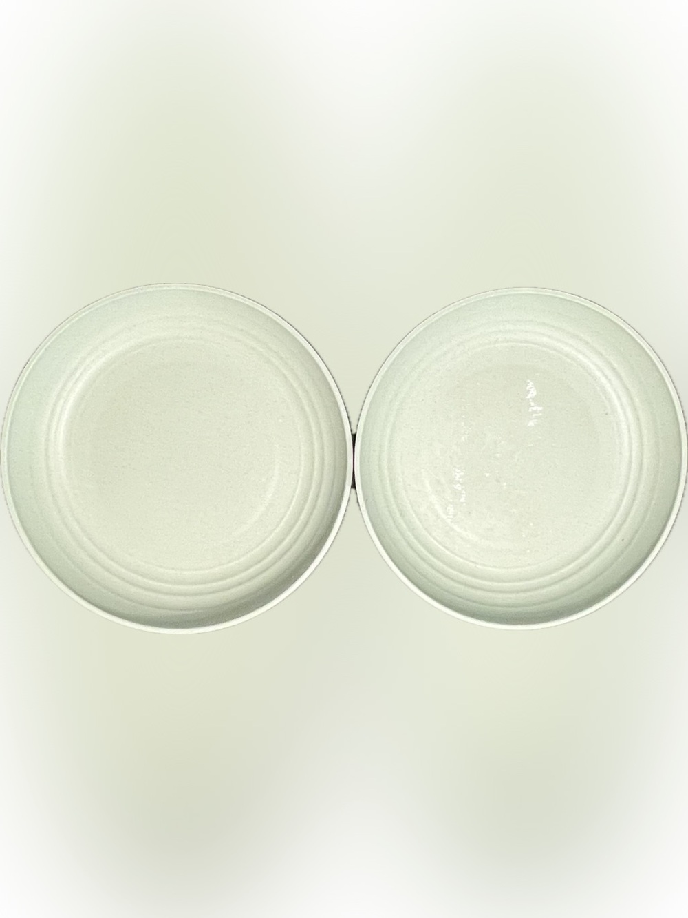 DeeCoo Dinner Plates Pale Green Chip Resistant Set of 2